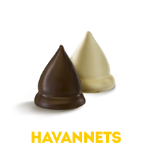 Havannets